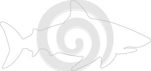 bullshark Outline Silhouette Generative Ai