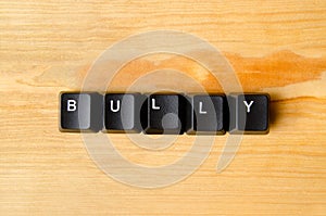 Bully word