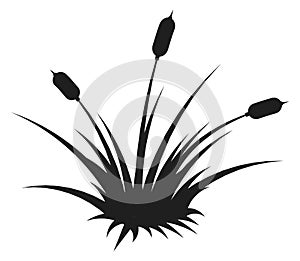 Bulrush silhouette. Wetland natural plant black icon