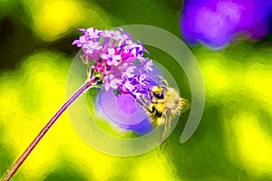 Bumble Bee Pollination