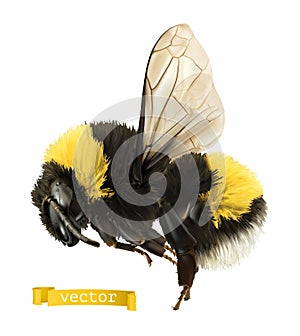 Bumblebee. 3d realistic vector icon photo
