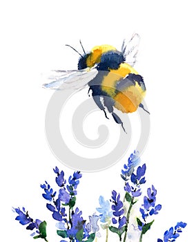 Bumblebee Flying Over Blue Flowers Watercolor Illustration Hand Drawn