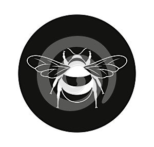 Bumblebee logo. Isolated bumblebee on white background. Wasp