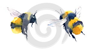 Bumblebees Watercolor Illustration Hand Drawn photo