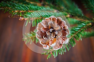 bump on the Christmas tree branch