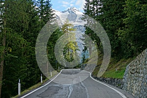 Bumpy concrete road crosses the quiet green forest with a view of the mountains.