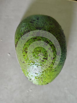 Bumpy Green Fruit avocado on Light Background