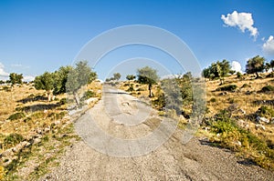 Bumpy road in Puglia countryside - Gargano