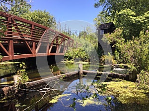 Bunceâ€™s Bridge Connetquot New York State Park
