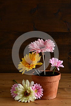 bunch of assorted daises in a pot