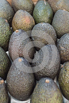 A bunch of avocados in a box photo