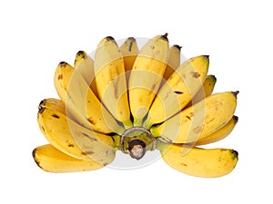 Bunch of baby banana