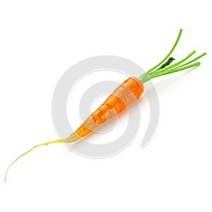 Bunch of baby carrots vegetable isolated over white background