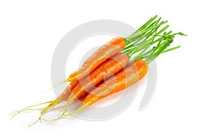 Bunch of baby carrots vegetable isolated over white background