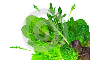 Bunch of baby green leaves isolated on white background. Arugula, spinach, beet, lettuce salad foliage close up.