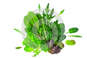 Bunch of baby green leaves isolated on white background. Arugula, spinach, beet, lettuce salad foliage close up.