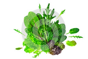 Bunch of baby green leaves isolated on white background. Arugula, spinach, beet, lettuce salad foliage close up.