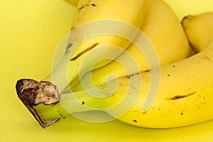 Bunch of banana close-up view