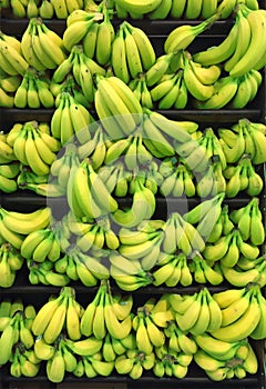 Bunch of Banana's on market stall