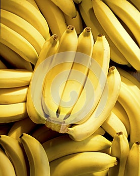 Bunch of bananas