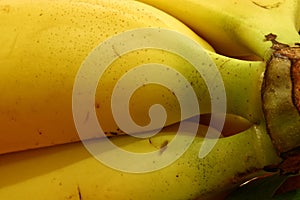Bunch of bananas, Close up