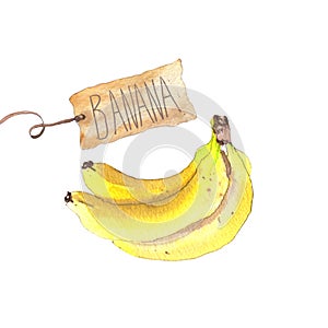 Bunch of bananas with craft paper tag