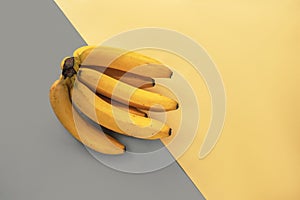 Bunch of bananas on gray and yellow diagonale background. Top view, flat lay. Trendy colors 2021 photo