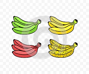 Bunch of bananas, green, yellow, red, spotted or spoiling, colored graphic design