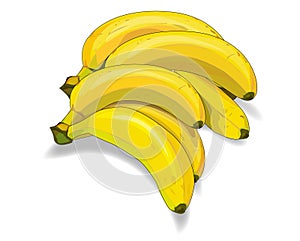 Bunch of bananas illustration