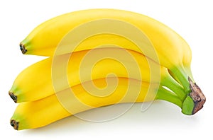 Bunch of bananas isolated on white background