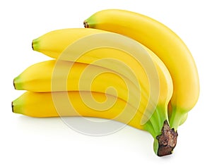 Bunch of bananas isolated on white background