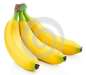 Bunch of bananas isolated on white background