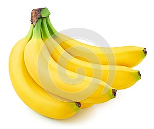 Bunch of bananas isolated on white background