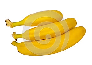 Büschel aus Bananen 