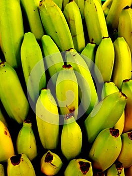 Bunch of bananas nearly ripe