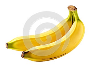 A bunch of bananas on a white background