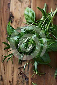 Bunch of Basil and Rosemary