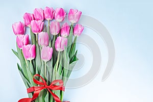Bunch of beautiful pink white tulips tied with red ribbon on blue background, horizontal, top view, copy space