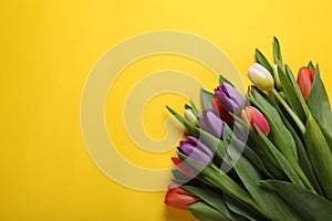 Bunch of beautiful tulips on yellow background, flat lay. Space for text