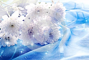 Bunch of beautiful white flowers over blue magic background