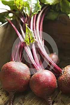 Bunch of beetroot