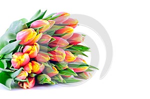 Bunch of Bicolor Orange-Yellow Tulips