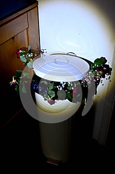 A bunch of binned roses