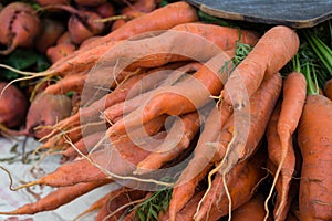 Bunch of bio carrots closeup , raw and unwashed