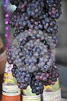 Bunch of black current on a juice stall