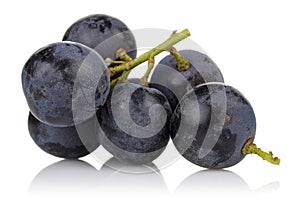 A bunch of black grapes