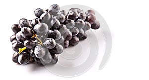 A Bunch Of Black Grapes Fruit III