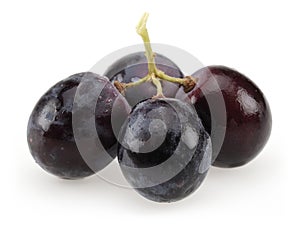 Bunch of black grapes on white background