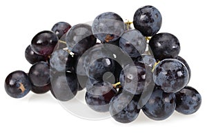 Bunch of black grapes on white background