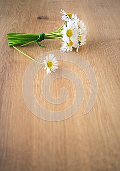 Bunch of blooming daisies on rustic wooden background